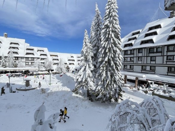 Apartman na Kopaoniku-Konaci